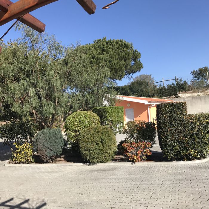 Jardineiro-Manutenção e remodelação de jardins e piscinas