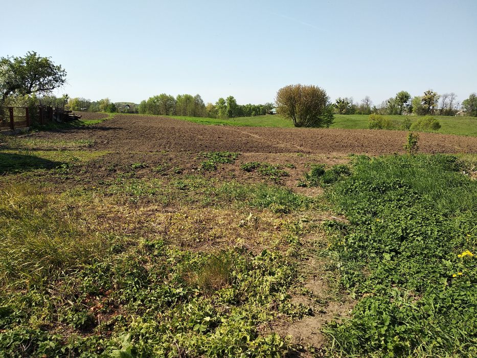 Продам будинок село Великі Гуляки