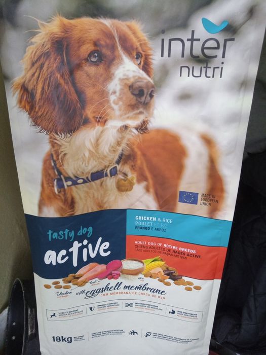 Ração internutri testy dog active