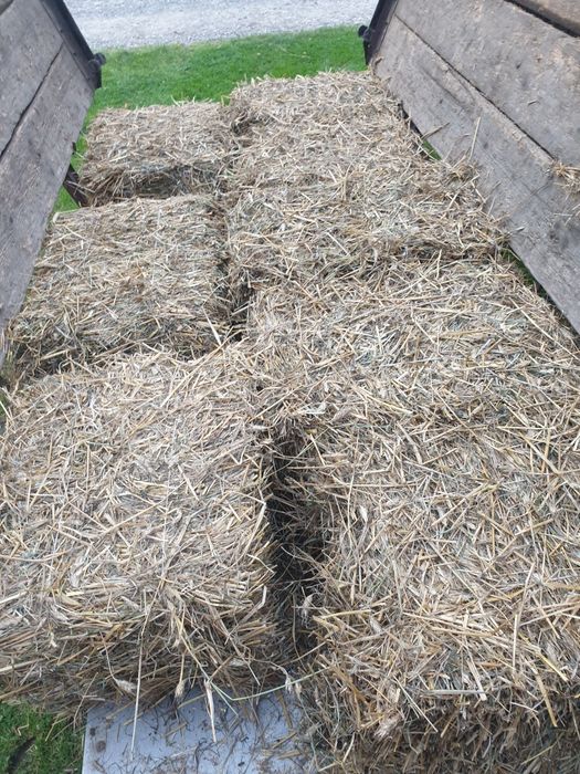 Słoma w kostkach 2025 oraz siano