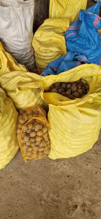 Ziemniaki sadzeniaki lub odpadowe