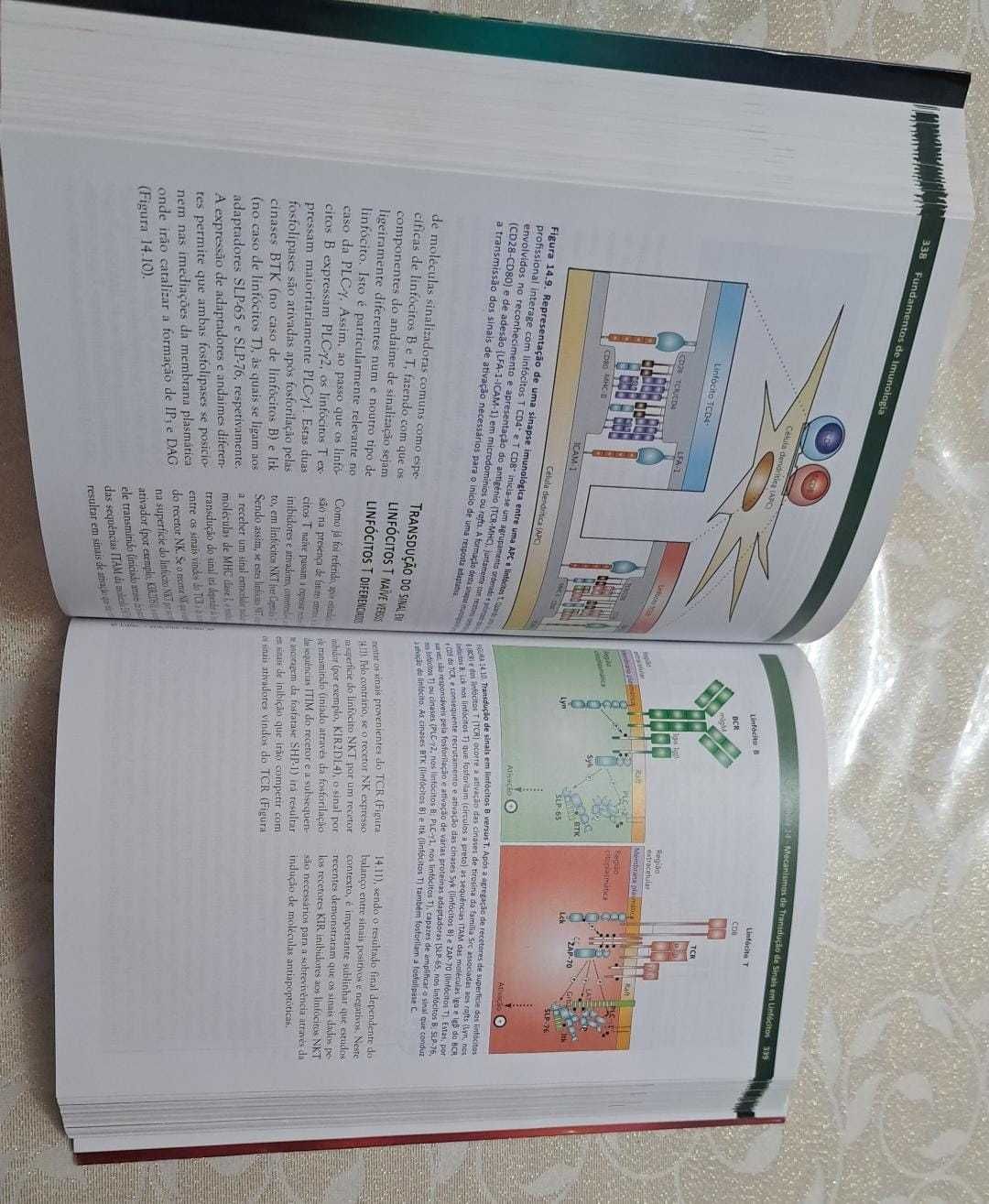 Fundamentos de Imunologia de Francisco C Pacheco - NOVO