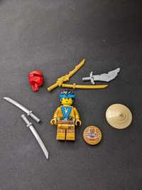 Одним лотом LEGO Ninjago