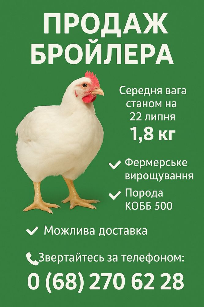 Бройлер КОББ 500