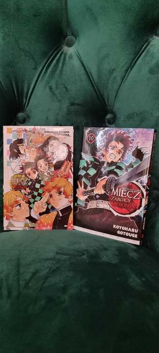 Miecz Zabójcy Demonów Light Novel