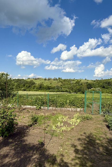 Ділянка 25 сот, с. Щербанівка, Обухів р-н