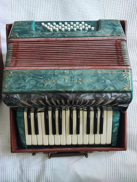 Akordeon w futerale