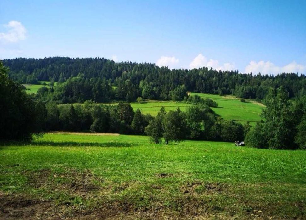 Urokliwa działka z czystym strumykiem - 74 ary, z dala od zabudowań.