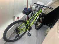 Bicicleta de Adulto