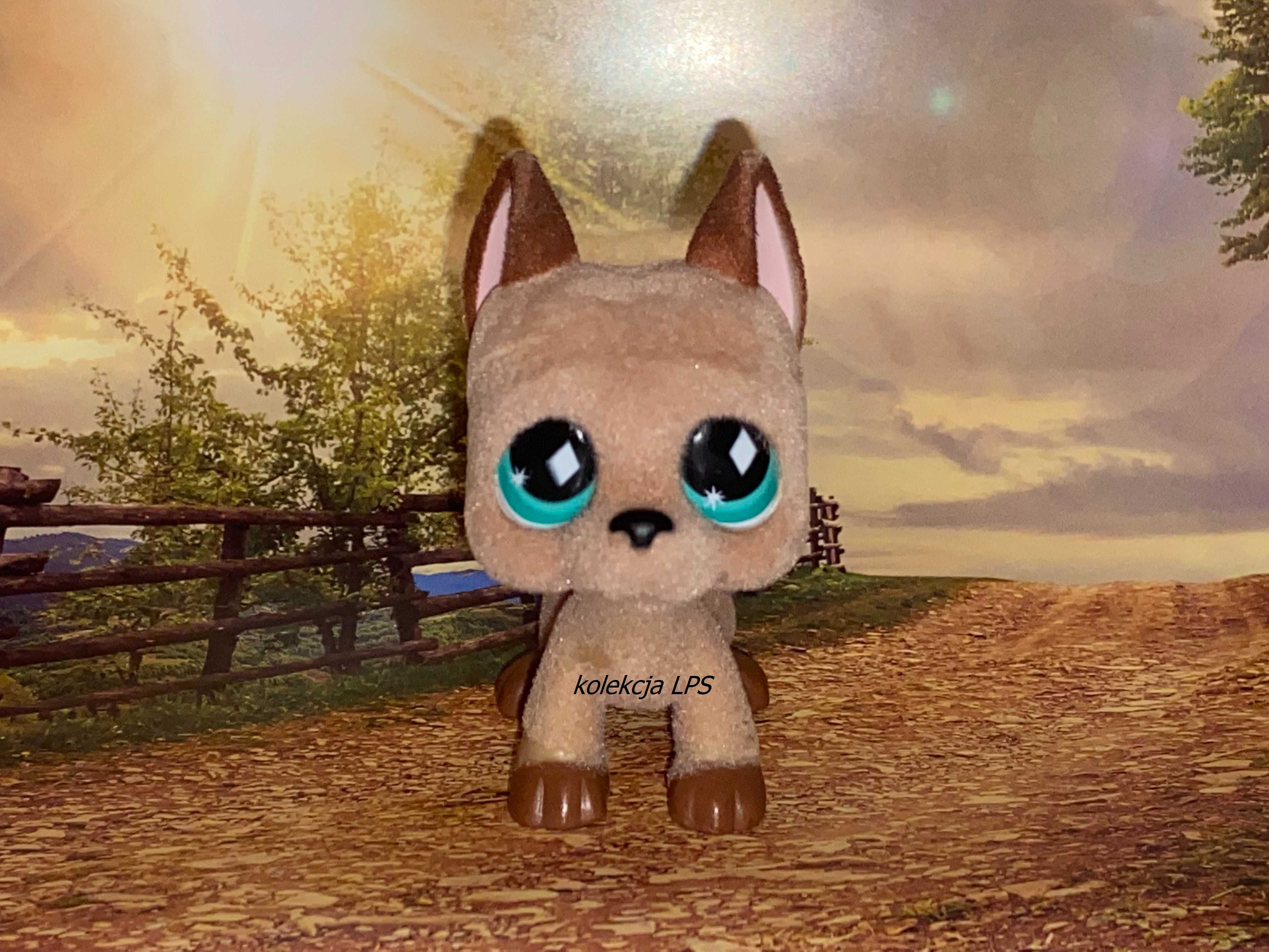 LPS Littlest Pet Shop dog fuzzy #636 oryginalny oryginał magnes UNIKAT