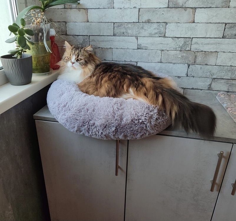 Лежанка пуф лежак домик для котика собачки кошки