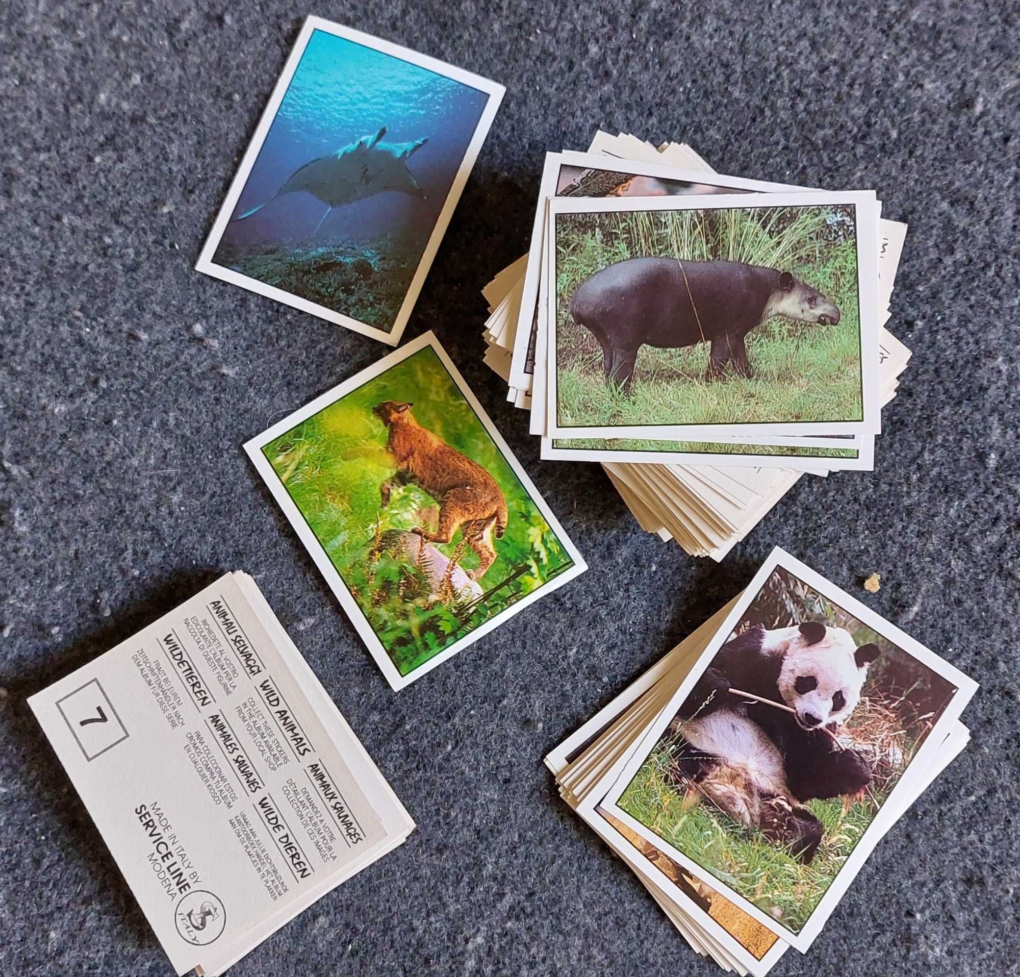 Lote de 240 Cromos Animais Selvagens