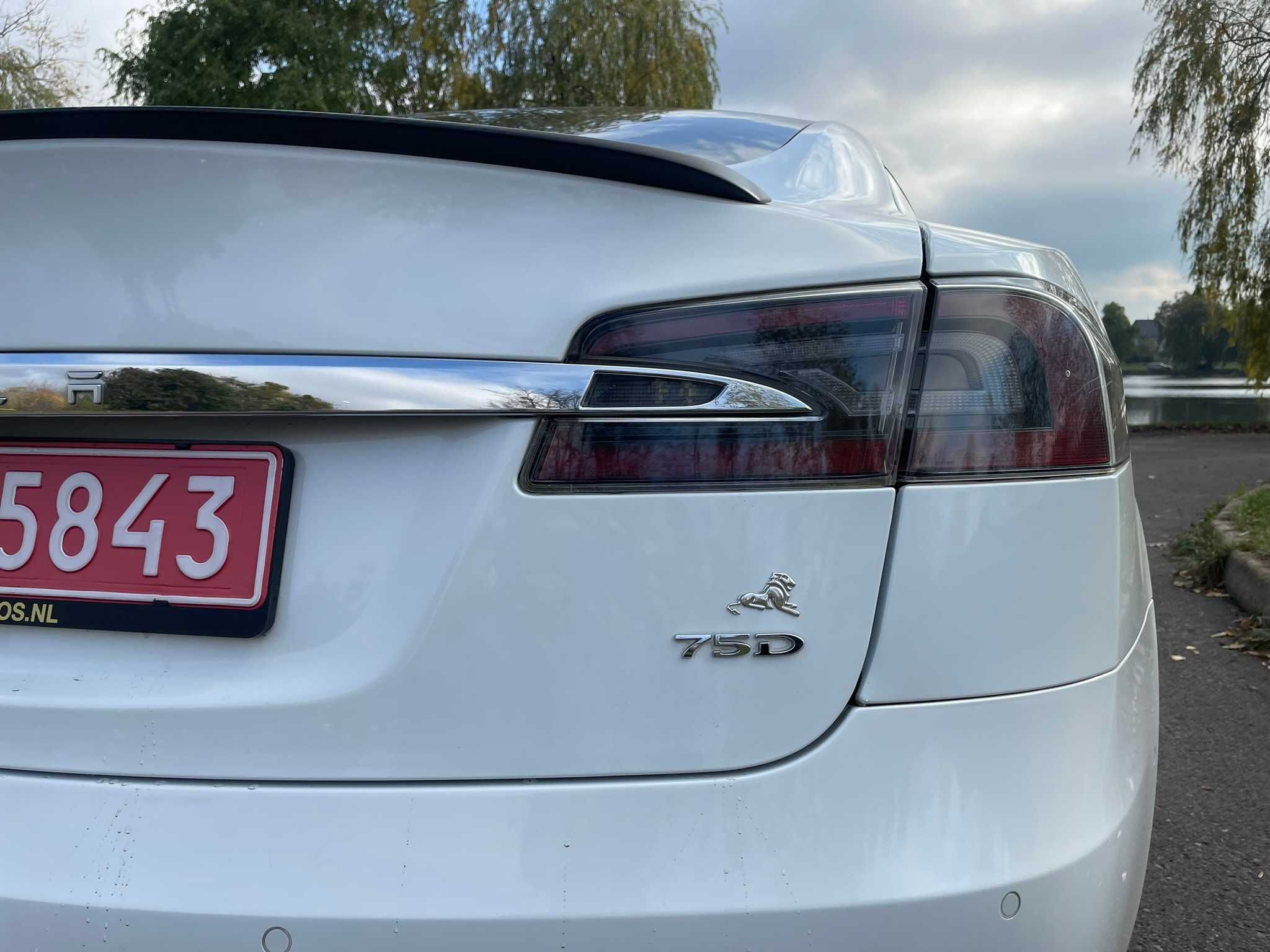 Tesla Model S Dual Motor 75D 2018 року випуску Пробіг 53000 км