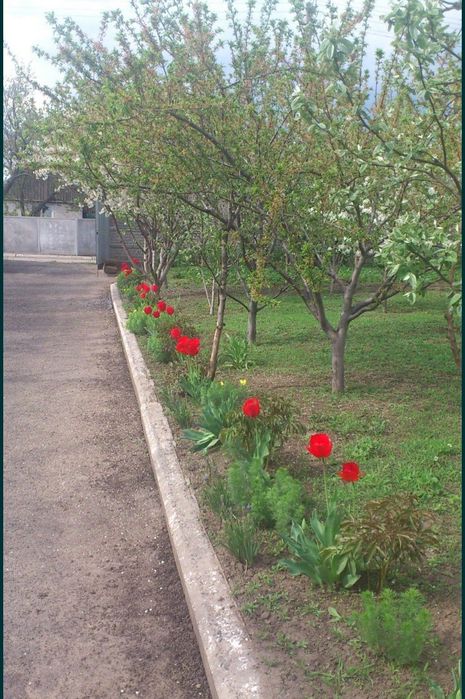 Продам двухэтажный дом с.Вороново Синельниковский район