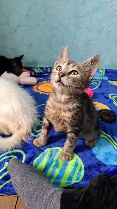 Красиві малюкі до 3х міс ручні