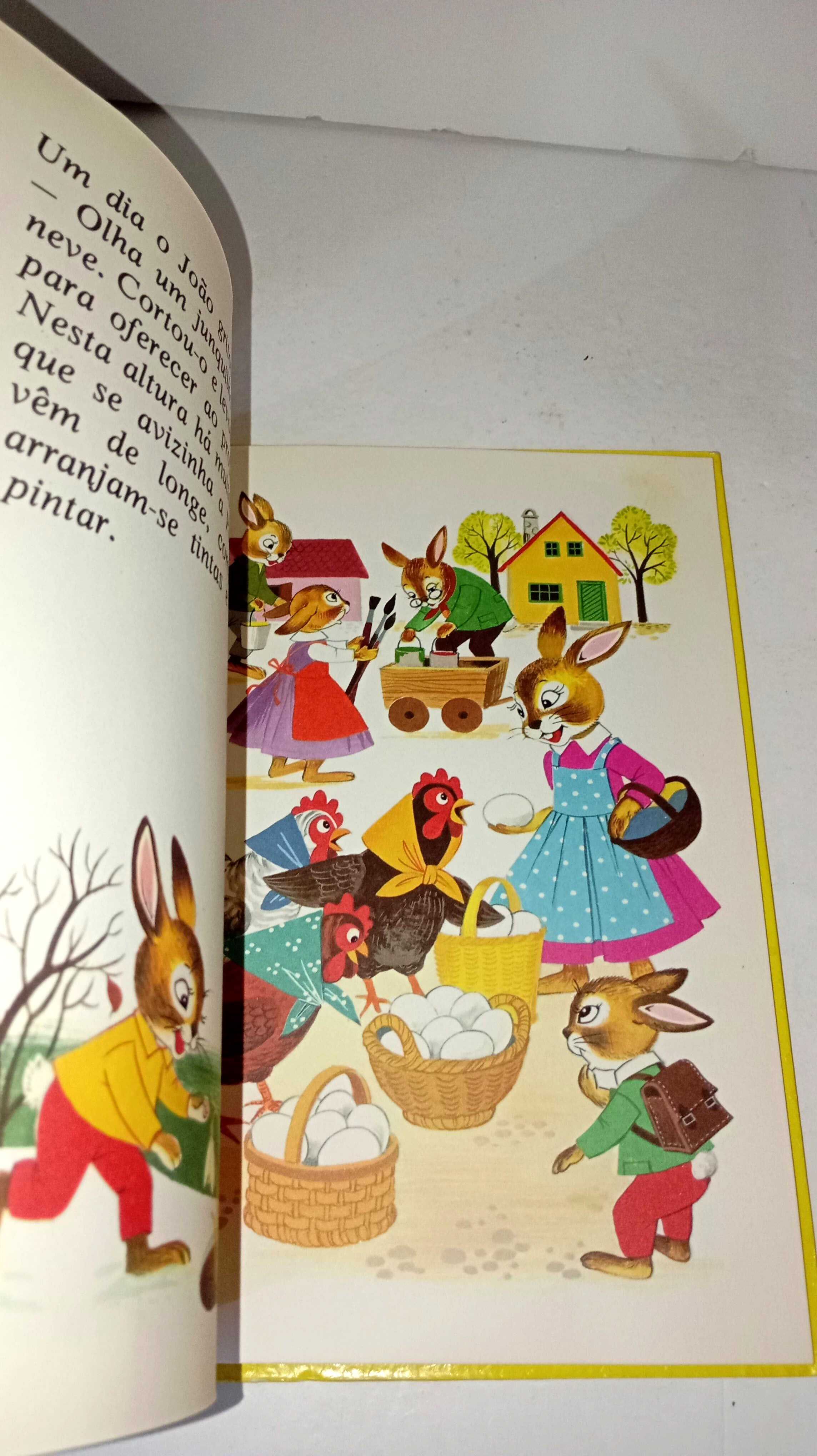 A Escola dos Coelhinhos - Majora