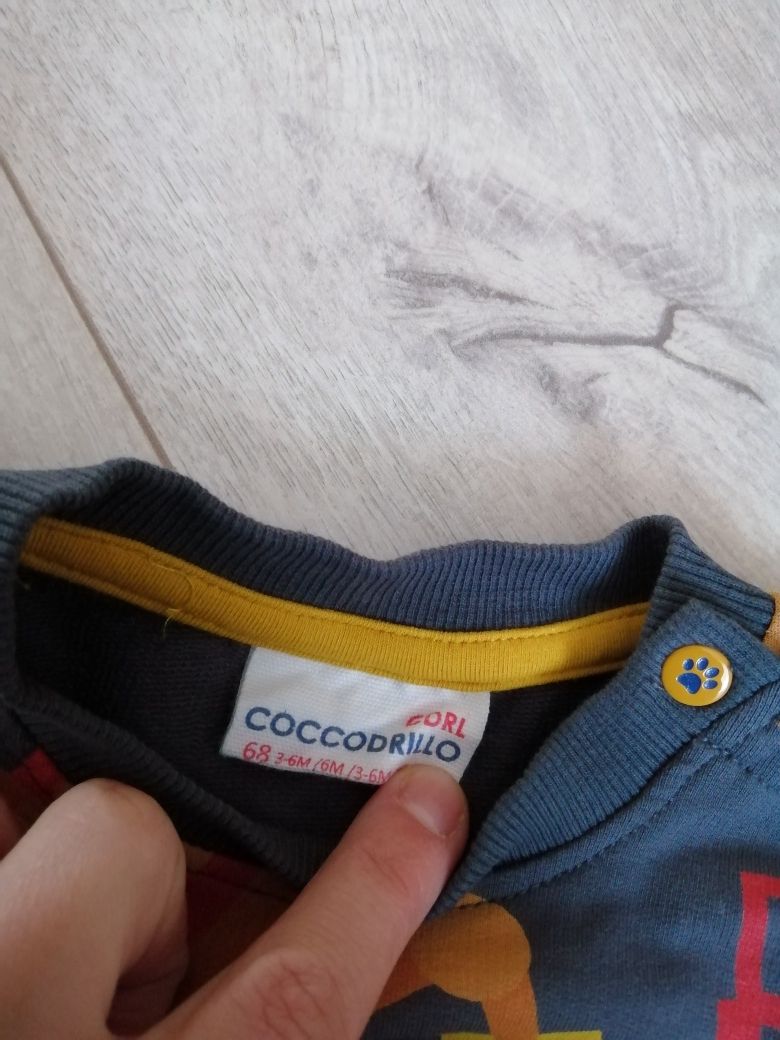 Bluza niemowlęca auta samochody Coccodrillo