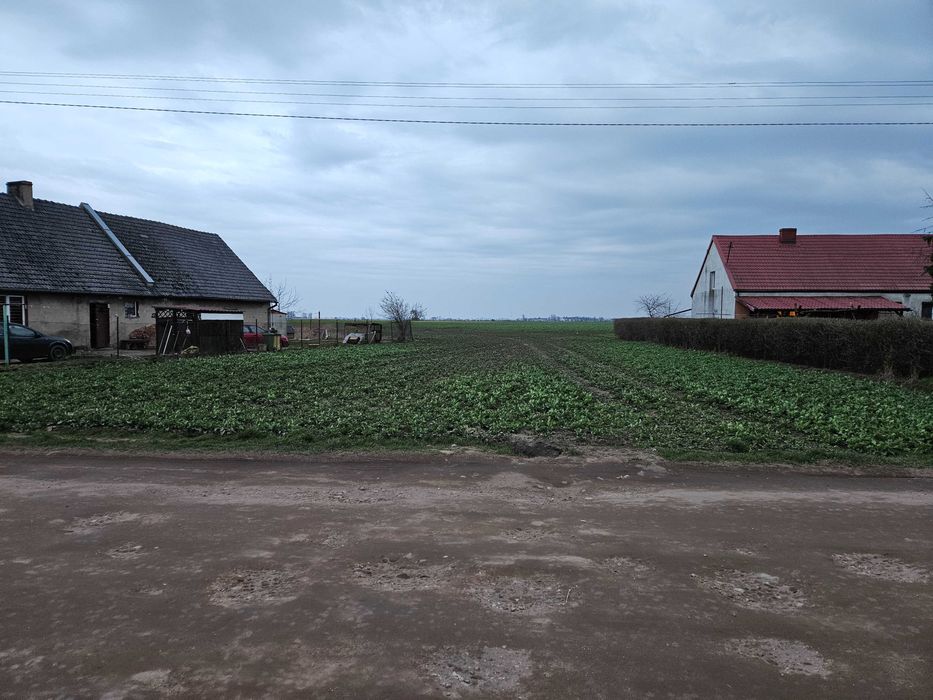działka Zalesie / Sędzinko Buk 2500 m2