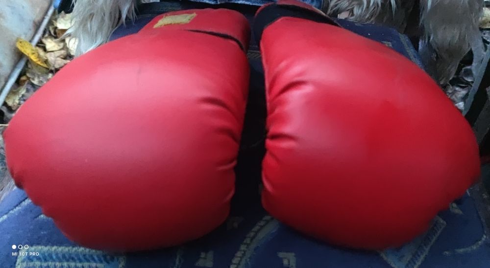 Боксерькі перчатки Boyko sport 10 oz