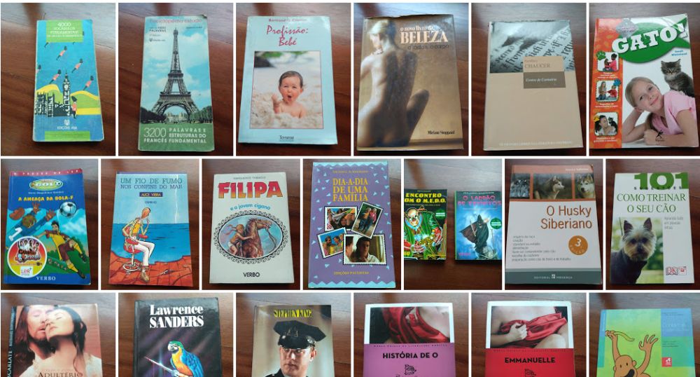 Livros diversos: juvenis, adultos, educação, saúde...