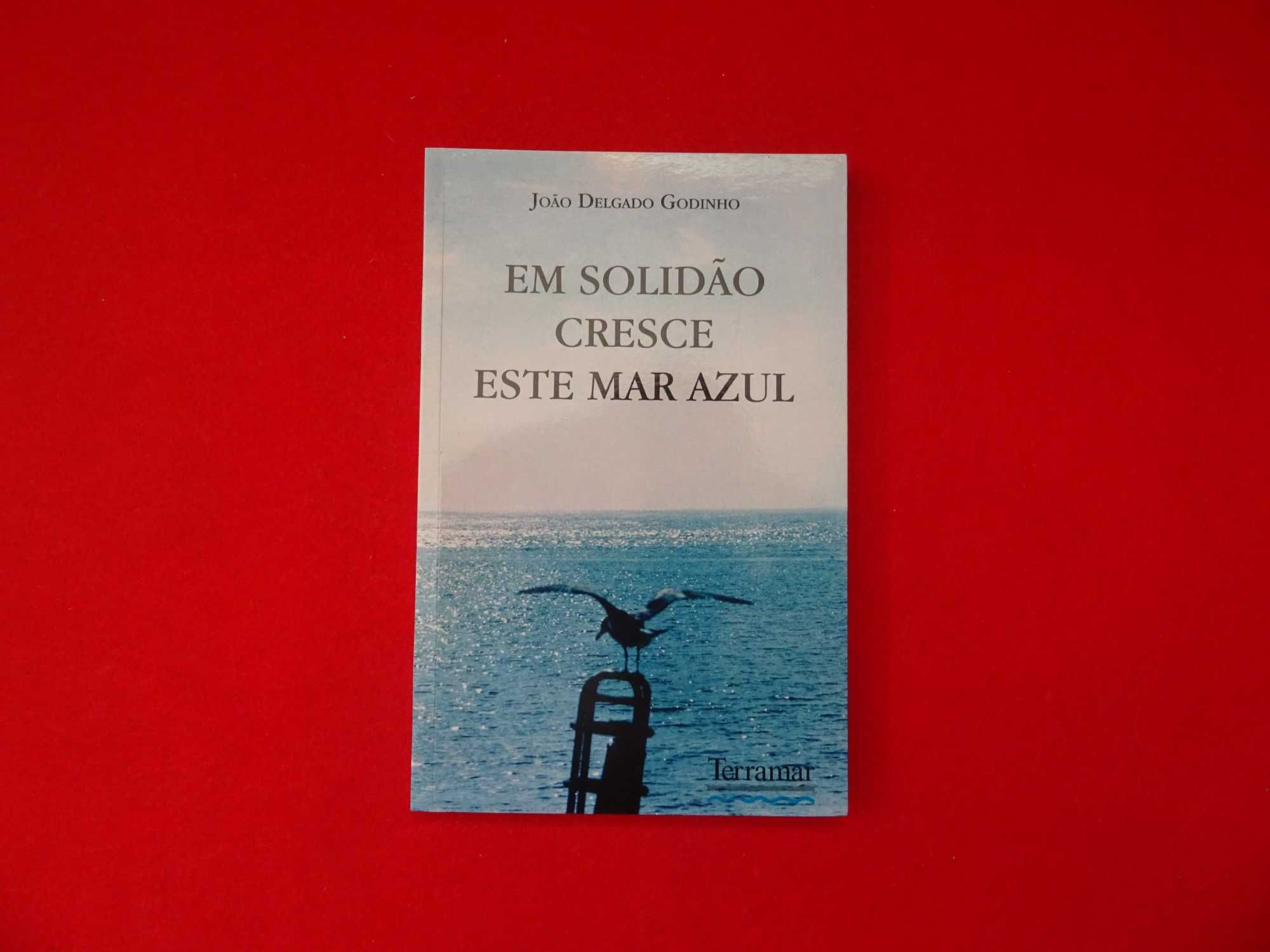 Em Solidão Cresce Este Mar Azul de João Delgado Godinho