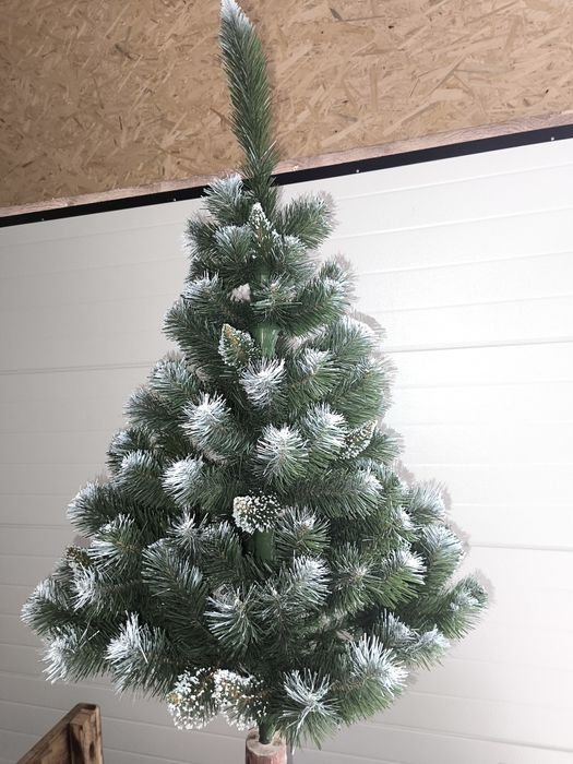 Choinka sosna diamentowa na pniu 180 cm