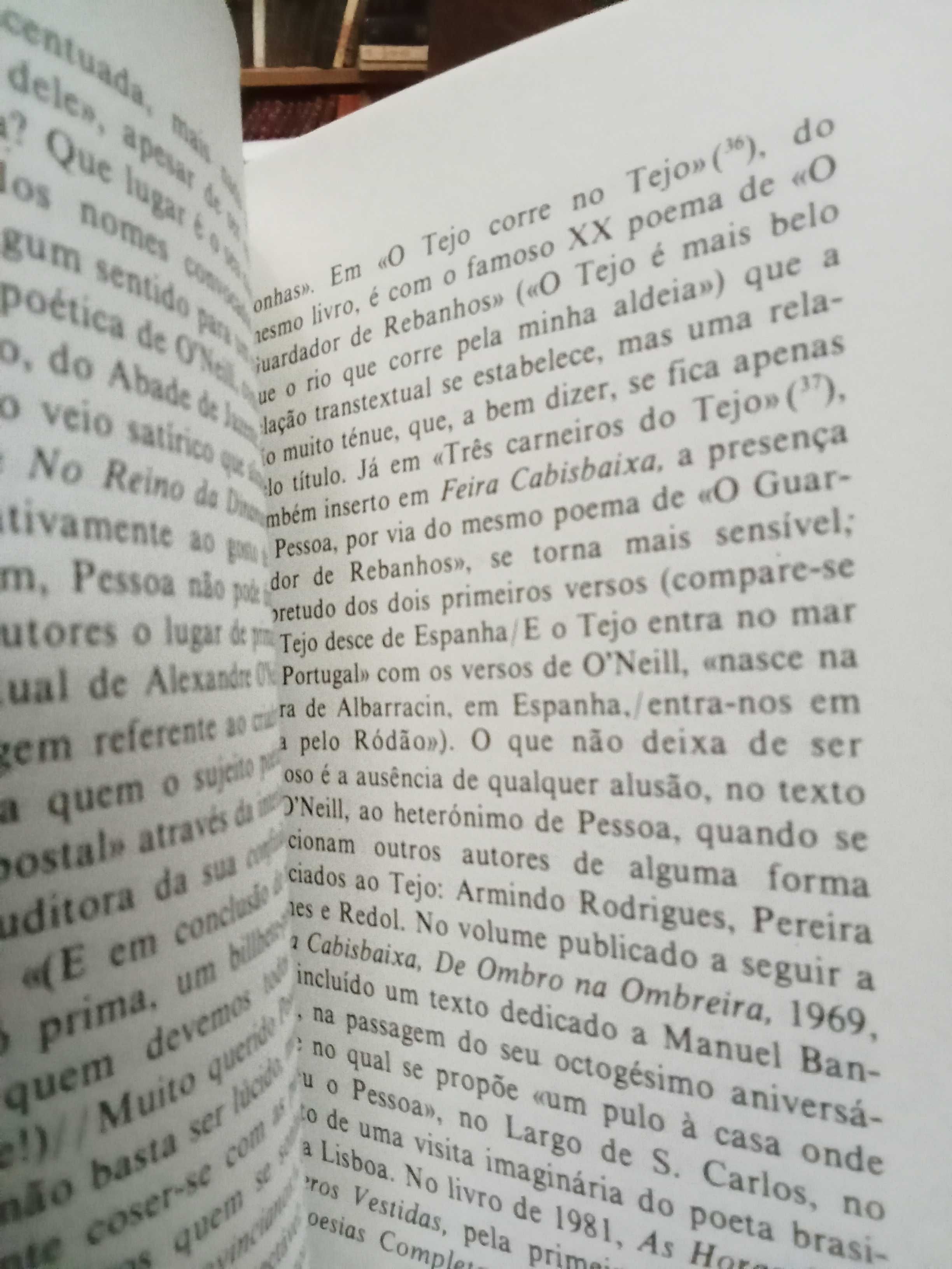 Fernando J. B. Martinho - Pessoa e os surrealistas