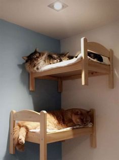 Домики и кроватки для котов и собак. Будиночки та ліжечка для котів та