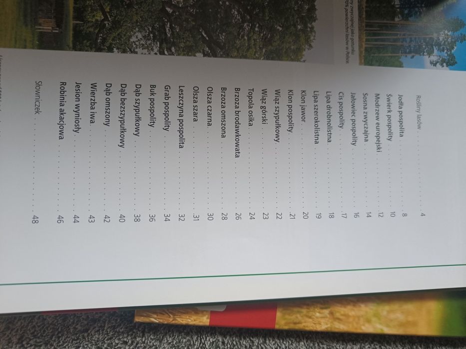 Encyklopedia przyrody zwierzeta rośliny