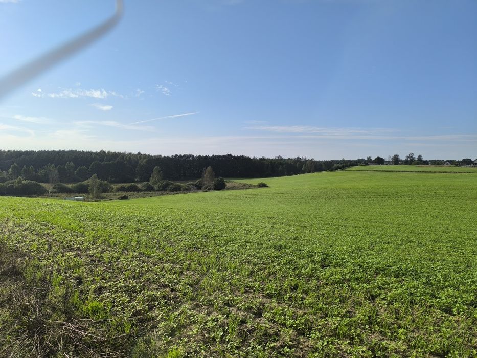 Urokliwa działka w Nowym Podlesiu - cisza, natura i bliskość miasta