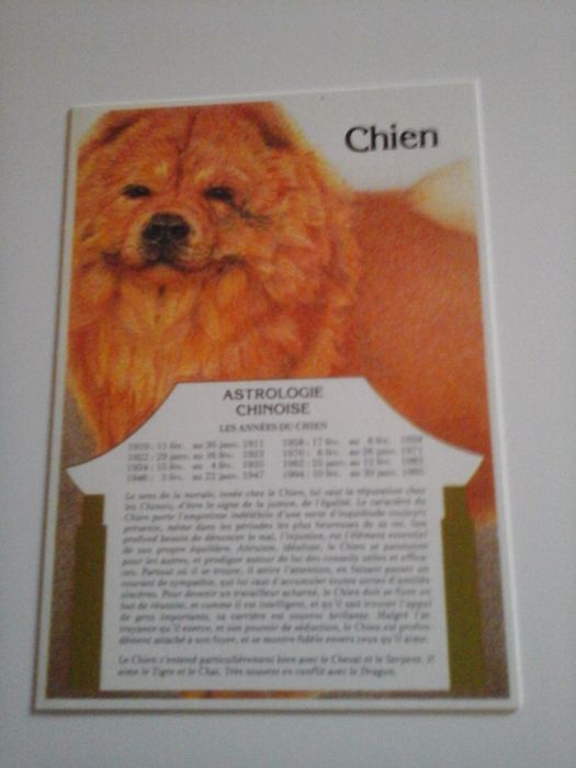 Cartão postal astrologia francesa Chien (Cão)