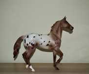 Sassy breyer traditional Collector Club 2020