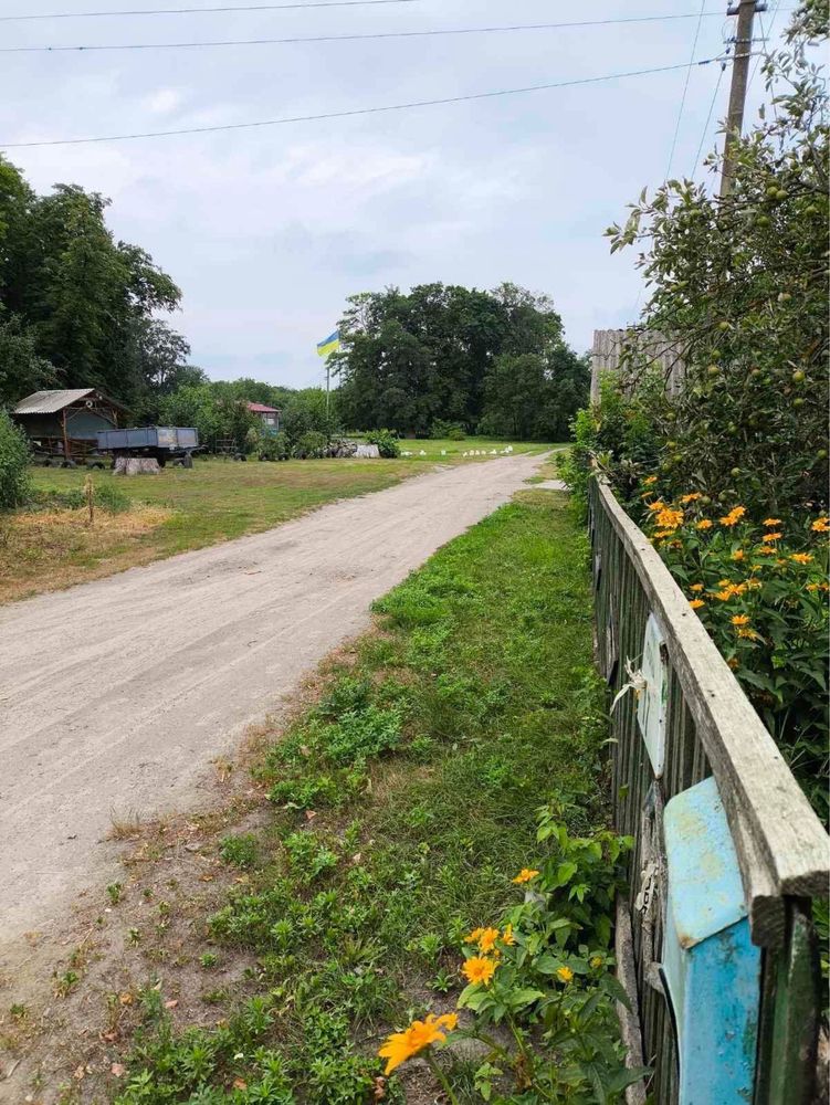 Продаж будинку село Устимівка.Білоцерківський район