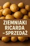 Ziemniaki jadalne Ricarda – świeże, czerwone, 15 kg worki