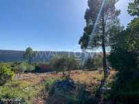 Construção de Moradia na Natureza