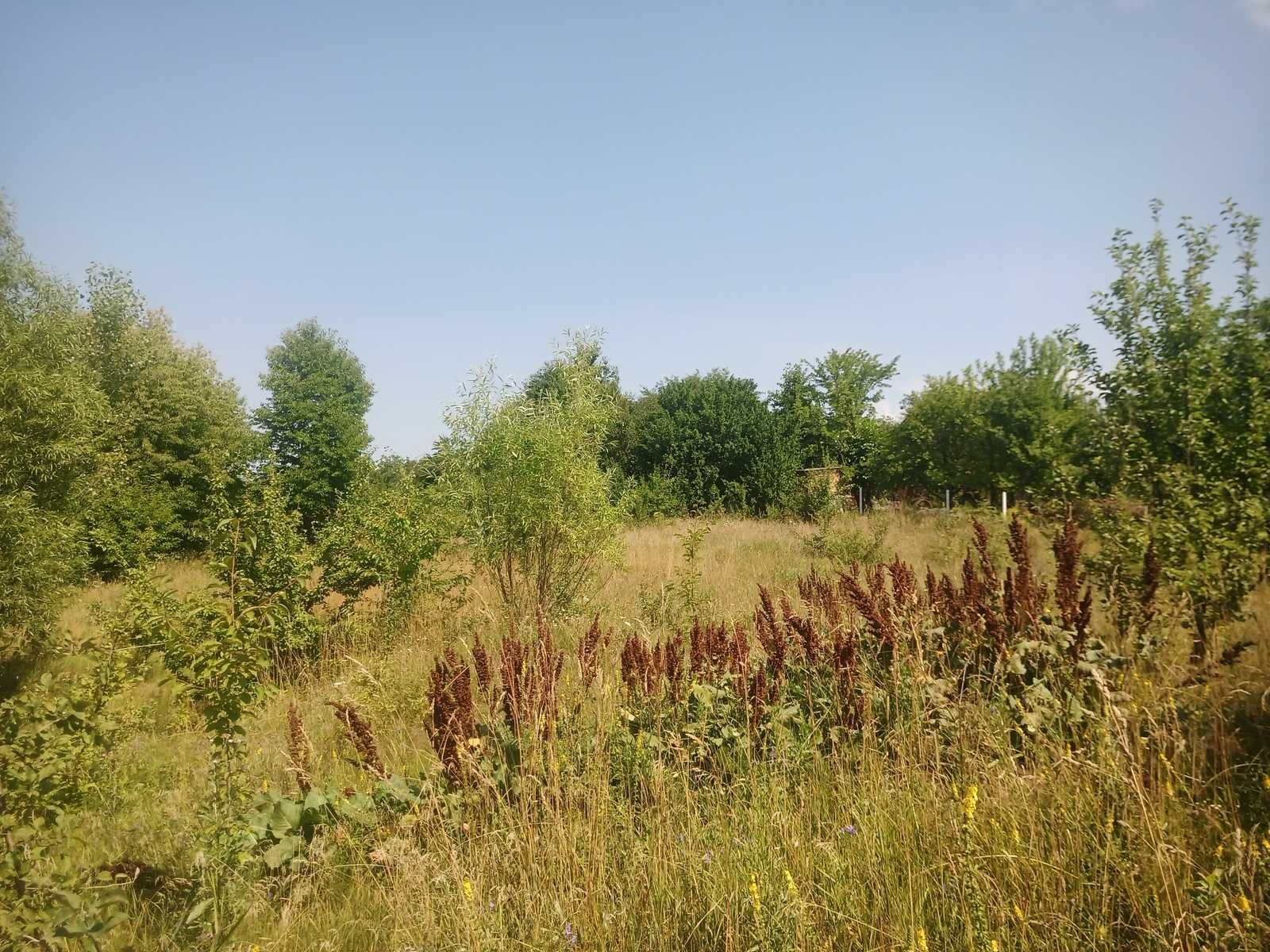 Продається земельна ділянка в Майдан-Чапельский