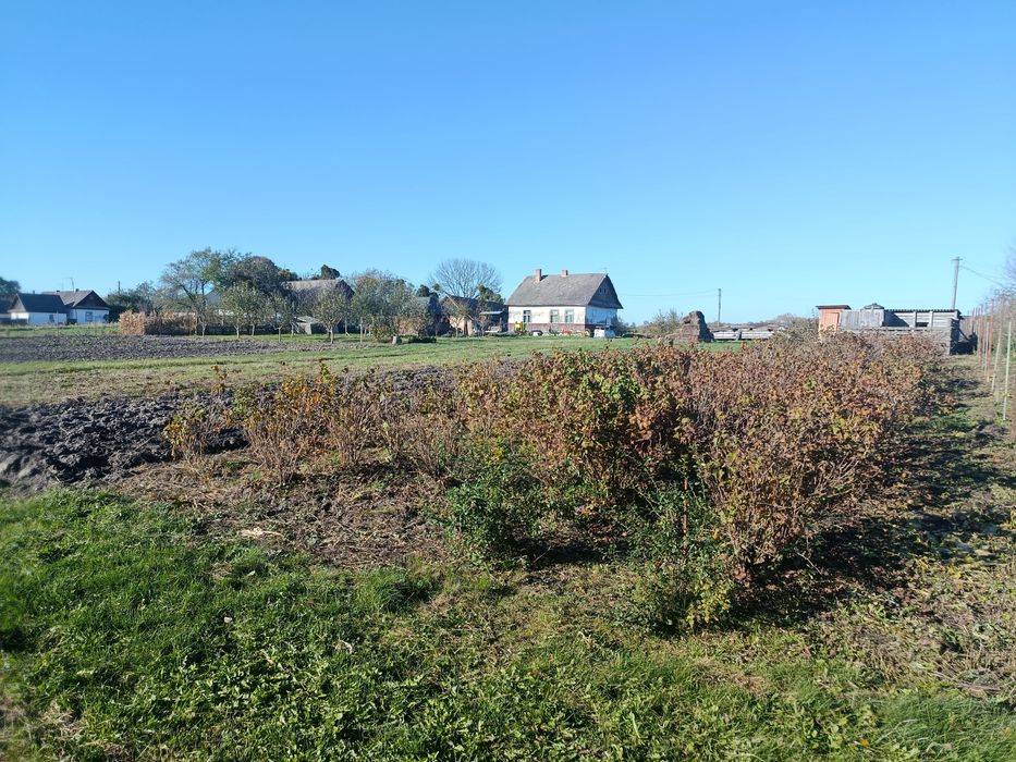 Земельна ділянка з хатою