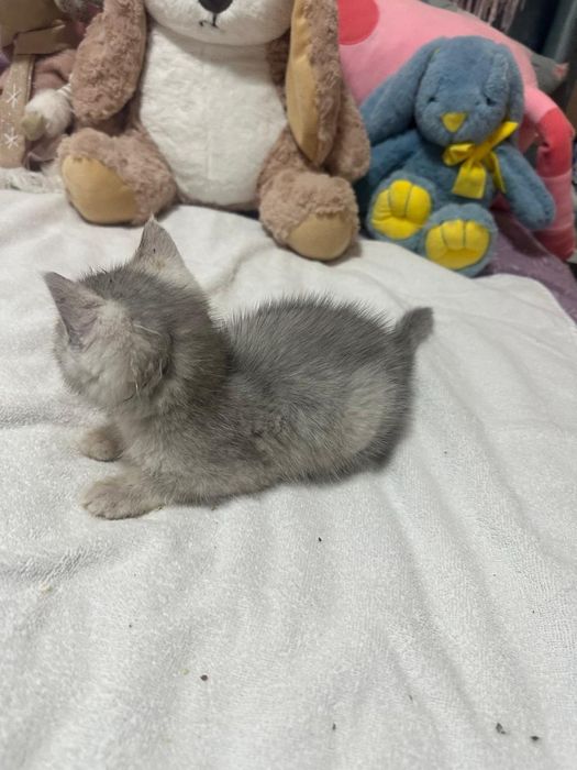 Хлопчик в хороші руки