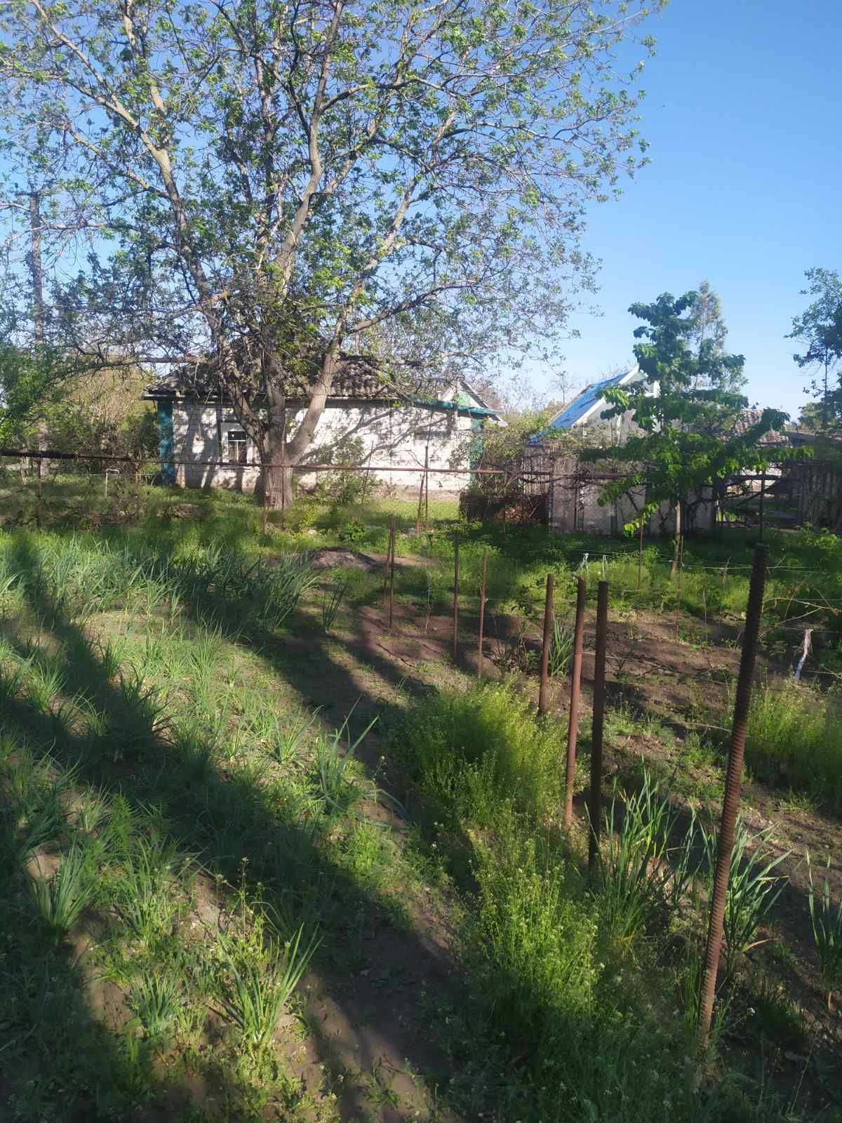 Продам дом село Пришиб