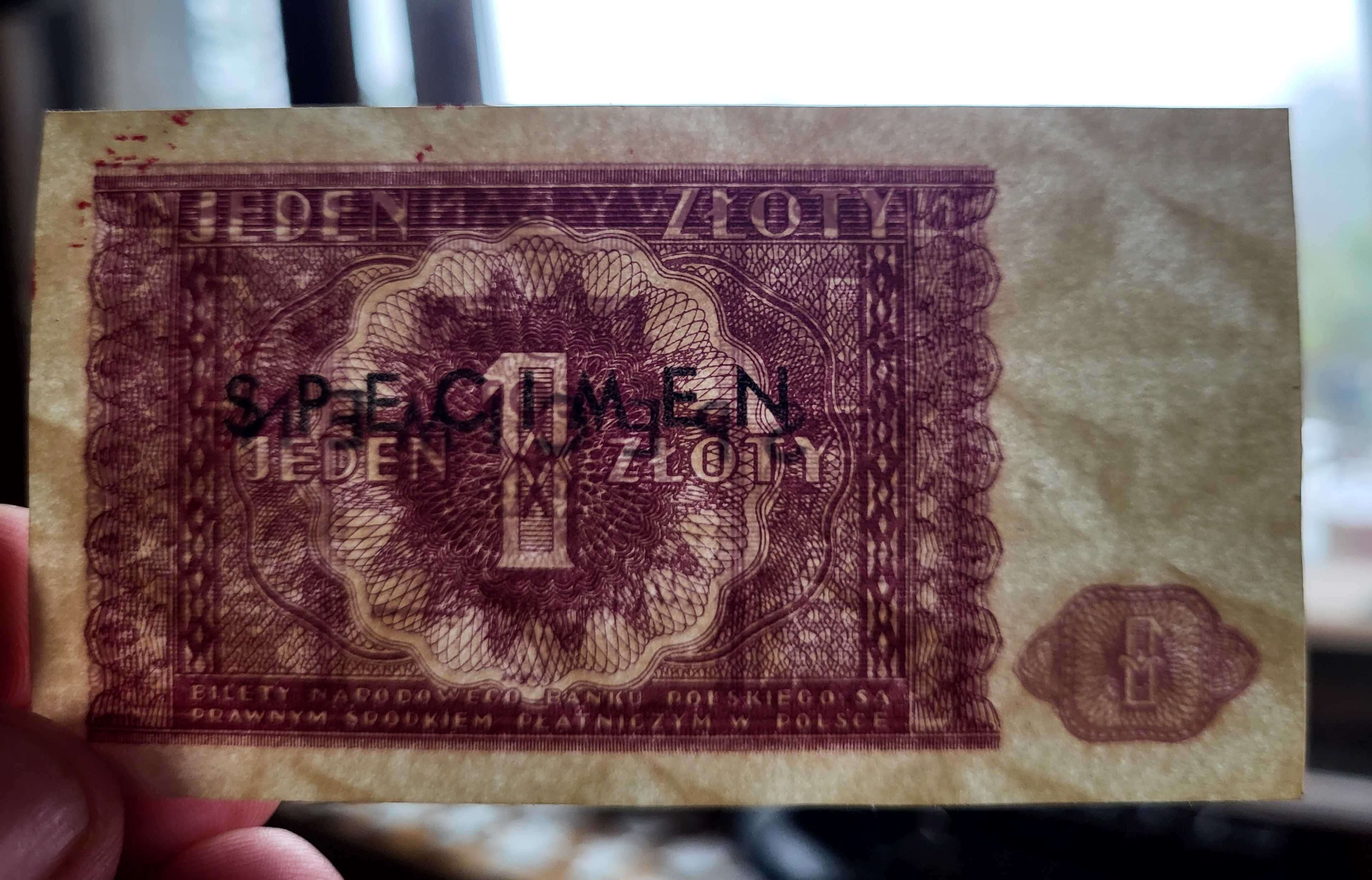 Banknot 1 złoty 1946 - SPECIMEN - Bardzo rzadki wzór