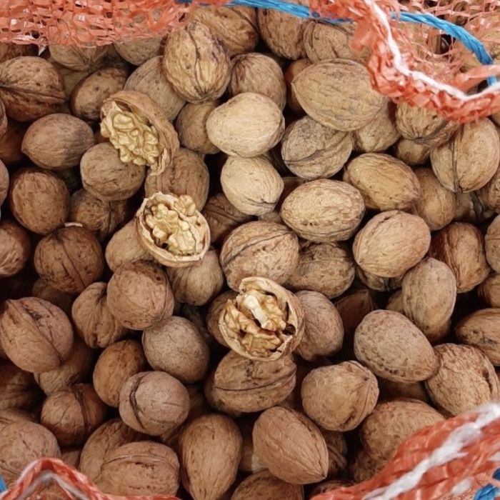 10kg Orzech Włoski Orzechy Włoskie zbiór październik 2025