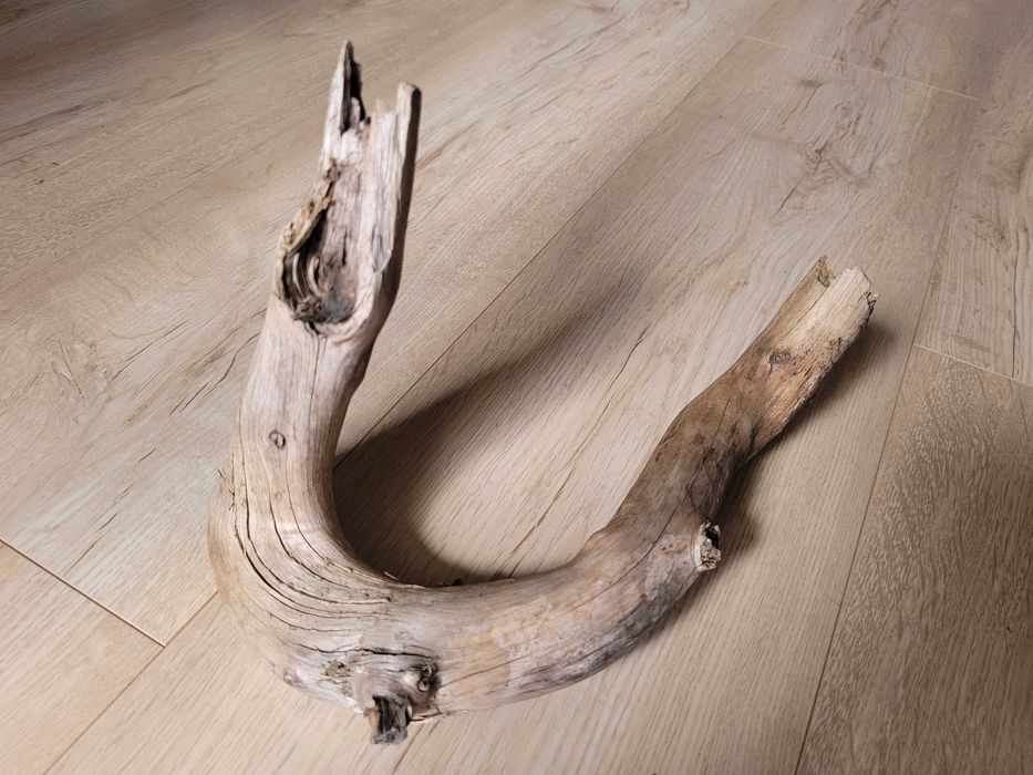 naturalny korzeń do akwarium / terrarium - 26 cm