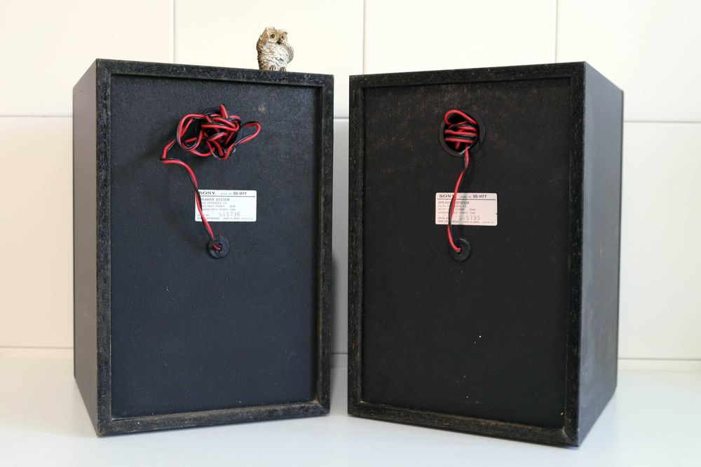 Sony SS-H77 colunas 70watts