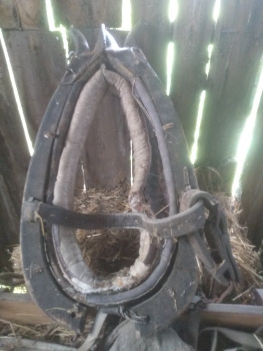 chomąta same bez osprzętu