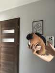 Sprzedam hobby horse