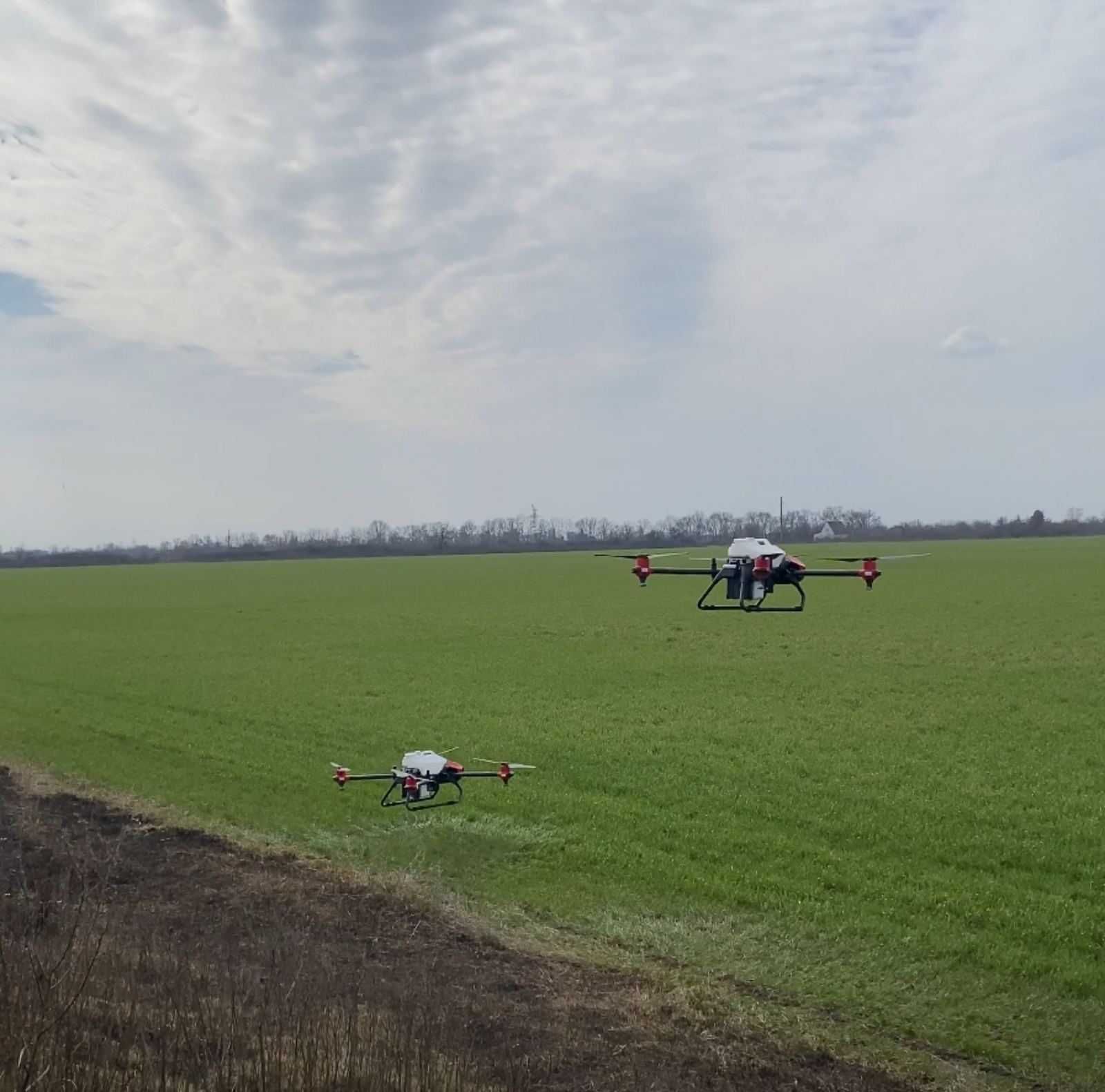 Внесення ЗЗР Агродроном. Обробка поля/Обприскування/Агродрон