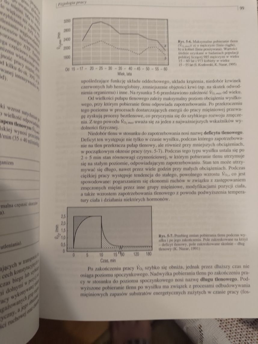 Bezpieczeństwo pracy i ergonomia.