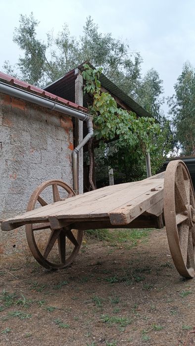 Carro de bois e outras antiguidades