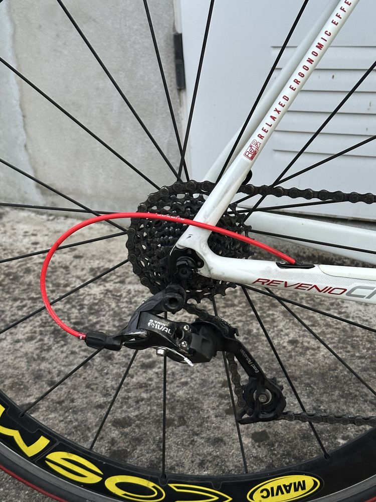 Raleigh C5 carbon