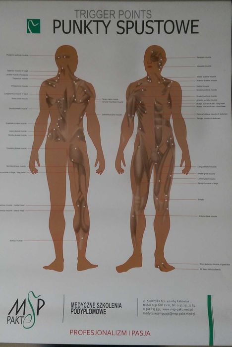 Plansze anatomiczne np. punkty spustowe, strefy heada, kończyny itp